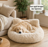 hunde sofa i bil 0,2